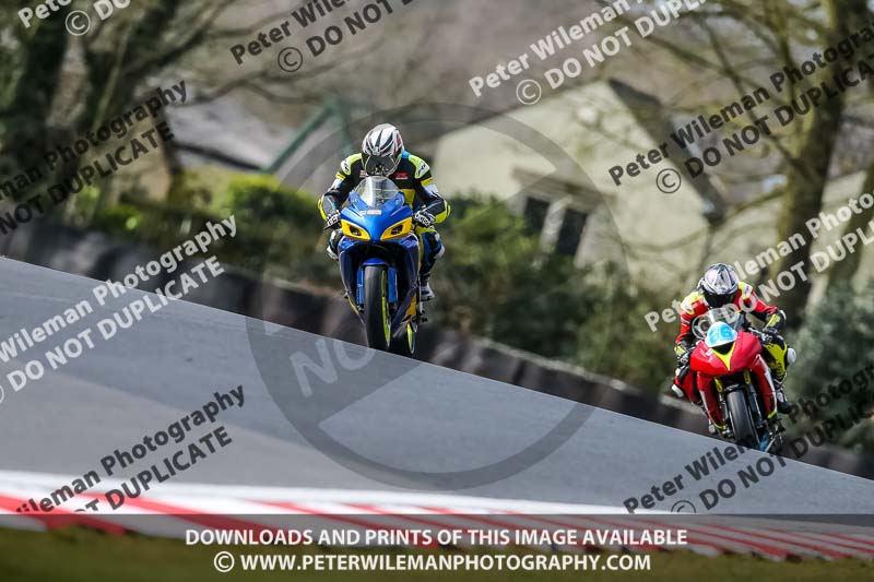 Oulton Park 21st March 2020;PJ Motorsport Photography 2020;anglesey;brands hatch;cadwell park;croft;donington park;enduro digital images;event digital images;eventdigitalimages;mallory;no limits;oulton park;peter wileman photography;racing digital images;silverstone;snetterton;trackday digital images;trackday photos;vmcc banbury run;welsh 2 day enduro